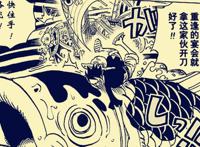 海贼王911：和之国“天狗”登场！光月女子阿玉与艾斯之约