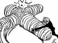 海贼王1027话，索隆砍掉烬的面具，导致他暴走，开启人兽形态