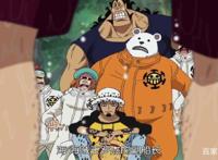 海贼王：夏琪为什么加入了罗的红心海贼团还出现在和之国？误会！