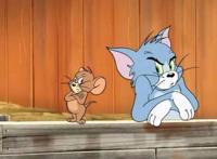 这些与猫有关的经典动画片，哪一部是你童年时的回忆？