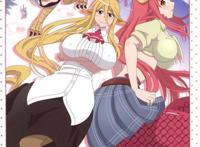 动漫：绅士们最爱的后宫番合集，一次看个够！