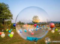 秋日限定花海上线，在花海中打造童话世界，江浙沪亲子游好去处