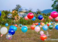 秋日限定花海上线，在花海中打造童话世界，江浙沪亲子游好去处