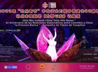 中国扬州木偶剧亮相哥伦比亚