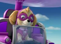 哪只不是《汪汪队立大功》中的狗狗？15后用时2秒，10后弃权？