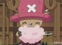 一部经典动漫，怎能缺少二次元萌宠角色？它们是最可靠的同伴