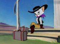 猫和老鼠：汤姆表白美女猫，被杰瑞破坏后自己乘虚而入