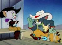 猫和老鼠：汤姆表白美女猫，被杰瑞破坏后自己乘虚而入