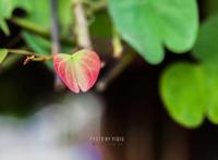 中国孩子已经变了，老师和家长却还没跟上