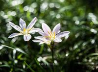 中国孩子已经变了，老师和家长却还没跟上