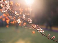 中国孩子已经变了，老师和家长却还没跟上