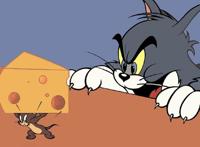 为什么《猫和老鼠》里的女主人都不露脸呢？原因可能有四个