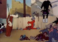 猫和老鼠：杰瑞表哥到底有多厉害，这么多年都没人见过它真实一面