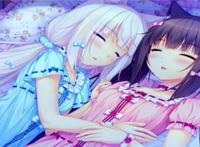 哪种动物拟人最可爱？我当然选择萌萝莉！