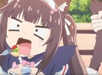 Nekopara动画定档一月新番，两只猫猫我全都要