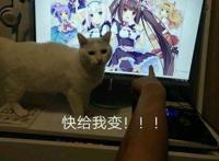 《巧克力与香子兰》四代开发中，大神网友制作表情包：快给我变！