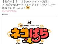 《巧克力与香子兰Vol.4》正式公布新作已处于开发阶段