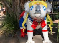 爆笑动漫：澳洲人玩坏考拉，不单cos动漫人物，各种游戏人物也出