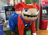 爆笑动漫：澳洲人玩坏考拉，不单cos动漫人物，各种游戏人物也出