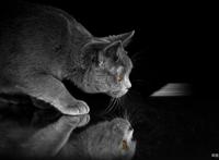 一位玄幻小说男主角