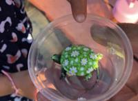 动漫乌龟、五彩青蛙、桃心金鱼……变装小动物，喜爱别错爱