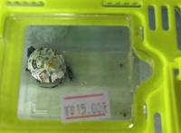 动漫乌龟、五彩青蛙、桃心金鱼……变装小动物，喜爱别错爱