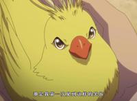 剧情再催泪《百妖谱》做给活人看的“孝心”被一只鸟给识破！