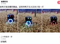 神回复：有人说我长得像小李子，大家觉得像吗？