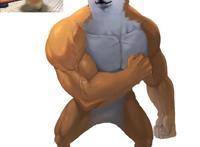 漫画师脑洞新奇，三次元猫狗拟人化成肌肉猛男，不服都不行