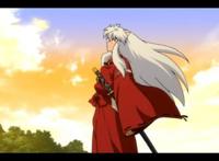 狗年到了，让我们来看看二次元那些犬型美少男！