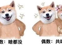 全世界最幸福的流浪狗都在这些动漫中，希望现实的流浪狗也能如此