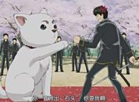 全世界最幸福的流浪狗都在这些动漫中，希望现实的流浪狗也能如此