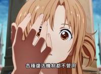 剧场版《SAO进击篇无星夜的咏叹调》官方中文预告公布