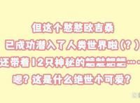 还没看过《团团奇米莫》这些花絮的朋友，好羡慕你们哦~