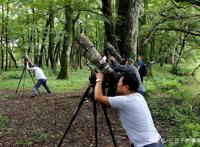 以爱之名的伤害：无数野生小鸟，正因被拍摄死去