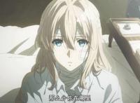 怎么看Citrus、小樱、紫罗兰永恒花园？