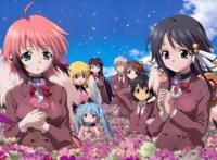 动漫：不得不看的后宫番剧，每个男人都有后宫梦！