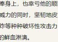 斗罗大陆巅峰斗罗以上强者只有15位？三人绝世，三人百级成神！