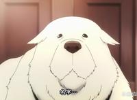 这就是火出圈的动漫吗，从第一季，到第二季开播只用了3个月！