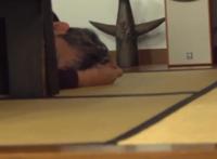 从孤僻天才到“宠妻狂魔”，被爱拯救的庵野秀明，开始变得可爱