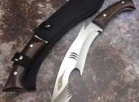 鉴赏，鲨鱼小狗腿