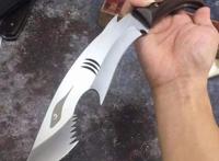 鉴赏，鲨鱼小狗腿