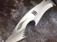 鉴赏，鲨鱼小狗腿