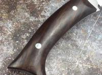 鉴赏，鲨鱼小狗腿