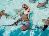 国外女模特为博眼球与一群鲨鱼嬉戏玩耍像对待小狗一样抚摸鲨鱼