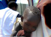 杀人最多的八种动物，恐怖到每年致死72万，“杀戮”机器颠覆三观