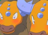 口袋妖怪日月中的七只坐骑，其中一个体重堪比大恐龙固拉多