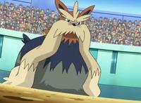 口袋妖怪日月中的七只坐骑，其中一个体重堪比大恐龙固拉多