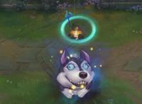 LOL愚人节皮肤：小鱼人大鲨鱼成哈士奇上演真被狗吃了！