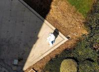 全杭州都在找的“天使大白”找到了！但他不是一个人……